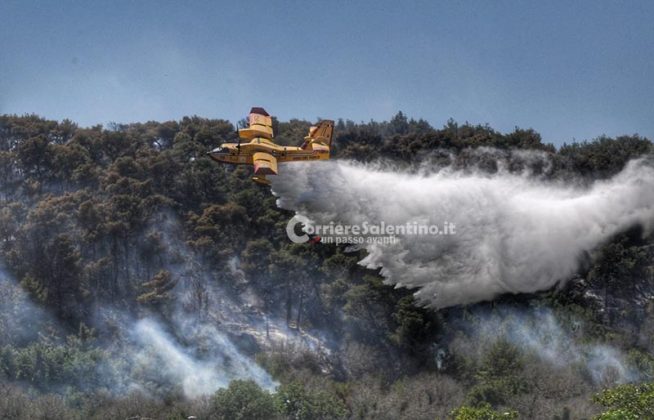 Divampano le fiamme nella zona del santuario: interviene il canadair - Corriere Salentino