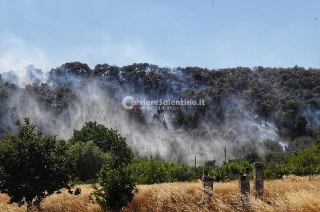 Divampano le fiamme nella zona del santuario: interviene il canadair - Corriere Salentino