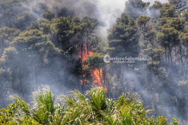Divampano le fiamme nella zona del santuario: interviene il canadair - Corriere Salentino