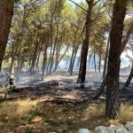 Incendio nel boschetto in periferia: fuoco e fumo minacciano le case - Corriere Salentino