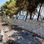 Incendio nel boschetto in periferia: fuoco e fumo minacciano le case - Corriere Salentino