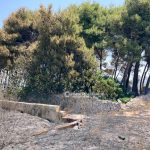 Incendio nel boschetto in periferia: fuoco e fumo minacciano le case - Corriere Salentino