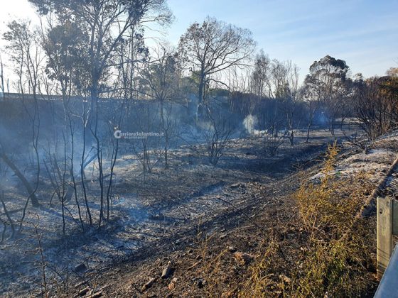Ennesimo giorno di incendi, due vasti roghi costringono alla chiusura delle statale 101 e 274 - Corriere Salentino