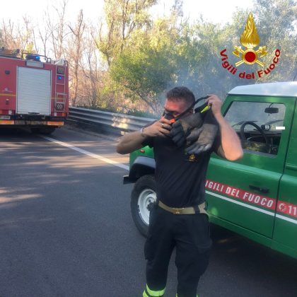 Ennesimo giorno di incendi, due vasti roghi costringono alla chiusura delle statale 101 e 274 - Corriere Salentino