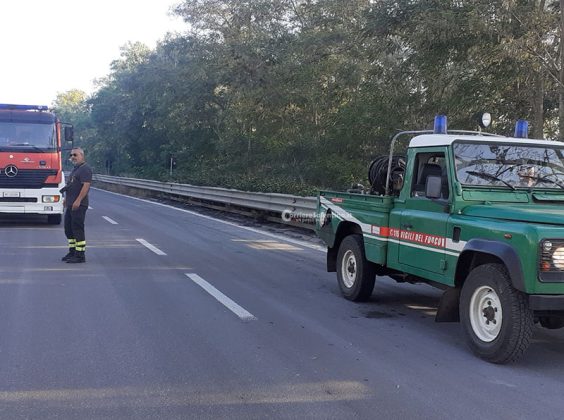 Ennesimo giorno di incendi, due vasti roghi costringono alla chiusura delle statale 101 e 274 - Corriere Salentino