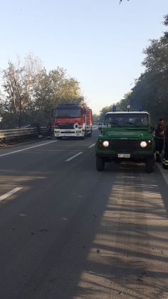 Ennesimo giorno di incendi, due vasti roghi costringono alla chiusura delle statale 101 e 274 - Corriere Salentino