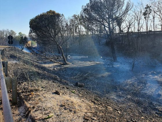 Ennesimo giorno di incendi, due vasti roghi costringono alla chiusura delle statale 101 e 274 - Corriere Salentino