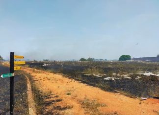 Domenica di fuoco: bruciano ettari del “Museo diffuso”, fumo invade il paese. Sulla provinciale cadono pali