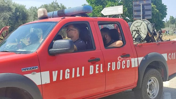 Grande uliveto a fuoco nel Basso Salento: le fiamme minacciano la pineta - Corriere Salentino