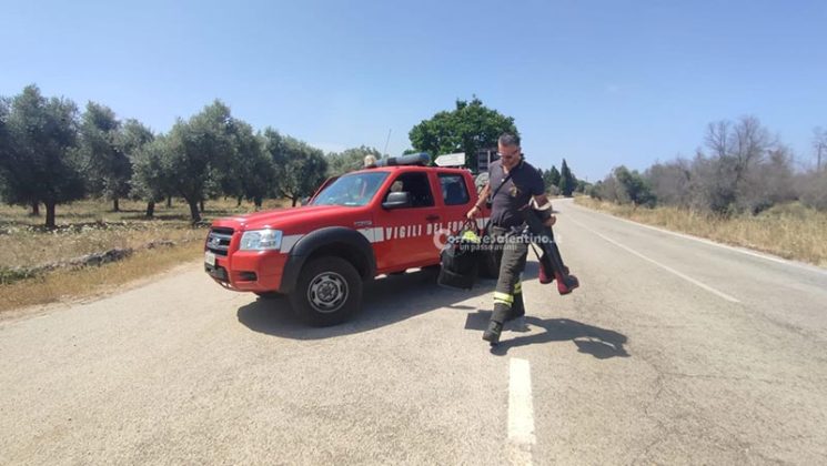 Grande uliveto a fuoco nel Basso Salento: le fiamme minacciano la pineta - Corriere Salentino
