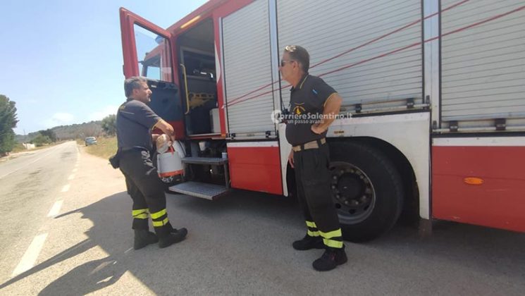 Grande uliveto a fuoco nel Basso Salento: le fiamme minacciano la pineta - Corriere Salentino