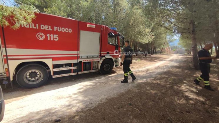 Grande uliveto a fuoco nel Basso Salento: le fiamme minacciano la pineta - Corriere Salentino