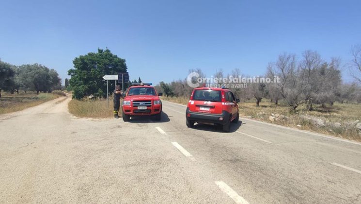 Grande uliveto a fuoco nel Basso Salento: le fiamme minacciano la pineta - Corriere Salentino