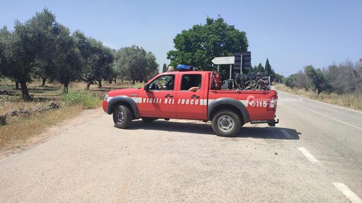 Grande uliveto a fuoco nel Basso Salento: le fiamme minacciano la pineta - Corriere Salentino