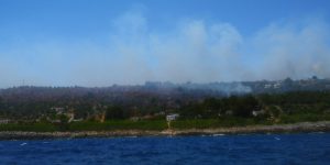Vasto incendio vicino alla costa: in azione anche i canadair - Corriere Salentino