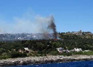 Vasto incendio vicino alla costa: in azione anche i canadair