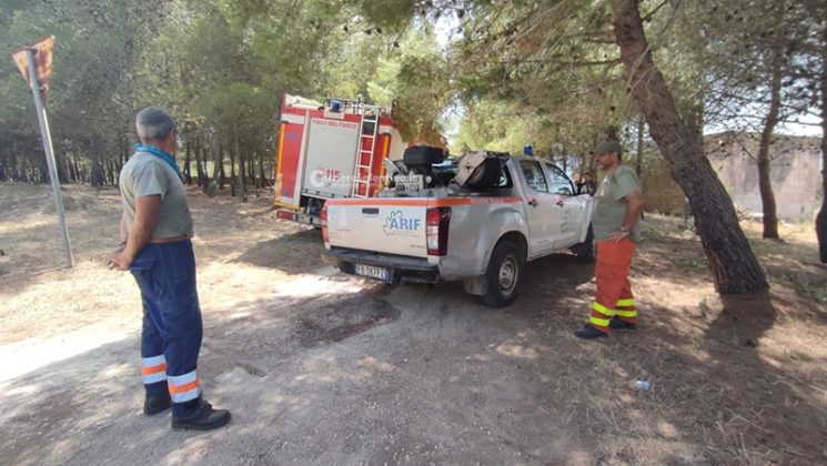 Grande uliveto a fuoco nel Basso Salento: le fiamme minacciano la pineta - Corriere Salentino