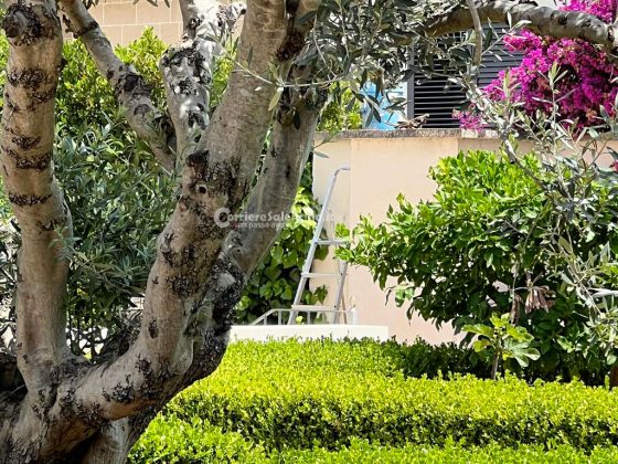 Ennesimo incidente sul lavoro, 60enne precipita nel vuoto: "codice rosso" in ospedale - Corriere Salentino