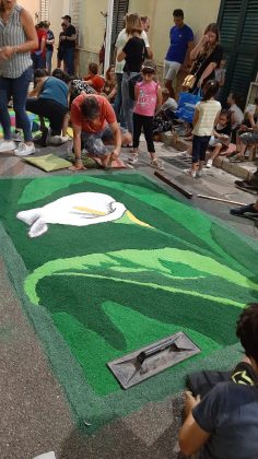 Infiorata di sale in onore di San Vito - Corriere Salentino