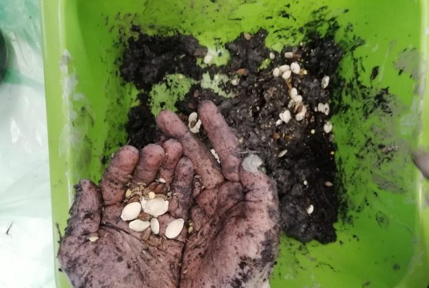 Venerdì 17 giugno Matilde Montinaro e Nadia Rizzello alla presentazione del progetto “È fatto giorno” - Corriere Salentino