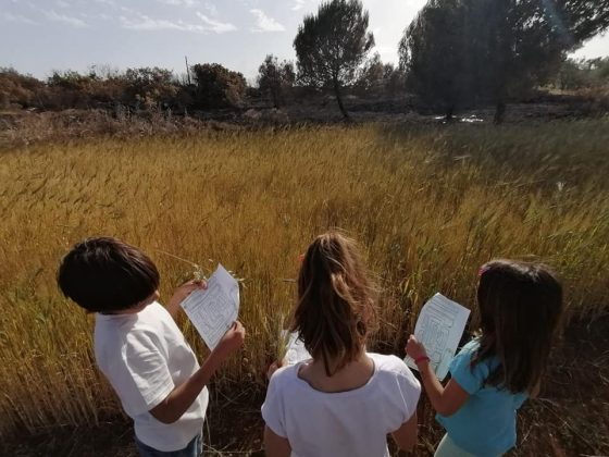 Venerdì 17 giugno Matilde Montinaro e Nadia Rizzello alla presentazione del progetto “È fatto giorno” - Corriere Salentino