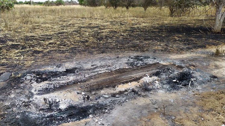 Le urla, poi il dramma: uccisa in casa una 38enne. Marito si dà alla fuga, ritrovato carbonizzato - Corriere Salentino