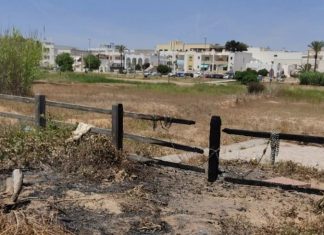 Rogo sull’arenile: a fuoco ombrelloni e lettini dell’area in concessione al figlio del presidente del consiglio