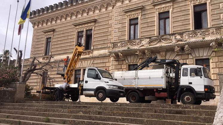 “Cambio della guardia” per i due ulivi del Castello di Nardò - Corriere Salentino