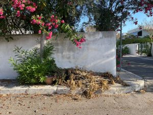 San Cataldo, la denuncia di Scorrano: “Verde pubblico in stato di abbandono e buchi nelle strade” - Corriere Salentino