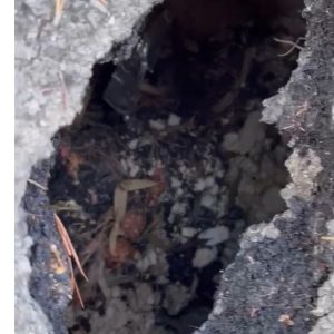 San Cataldo, la denuncia di Scorrano: “Verde pubblico in stato di abbandono e buchi nelle strade” - Corriere Salentino