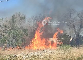 Vasto incendio nel Basso Salento: fiamme minacciano maneggio e abitazioni. Danni al campo sportivo