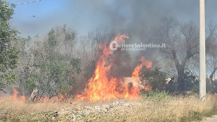 Vasto incendio nel Basso Salento: fiamme minacciano maneggio e abitazioni. Danni al campo sportivo - Corriere Salentino