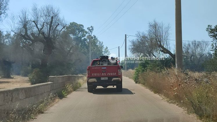 Vasto incendio nel Basso Salento: fiamme minacciano maneggio e abitazioni. Danni al campo sportivo - Corriere Salentino