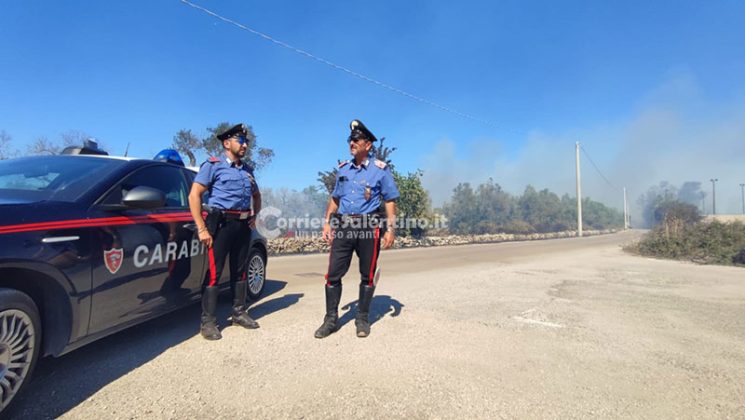 Vasto incendio nel Basso Salento: fiamme minacciano maneggio e abitazioni. Danni al campo sportivo - Corriere Salentino