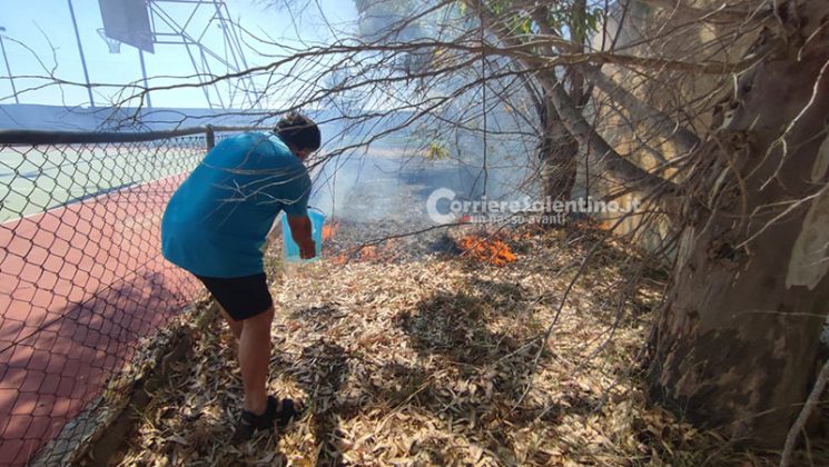 Vasto incendio nel Basso Salento: fiamme minacciano maneggio e abitazioni. Danni al campo sportivo - Corriere Salentino