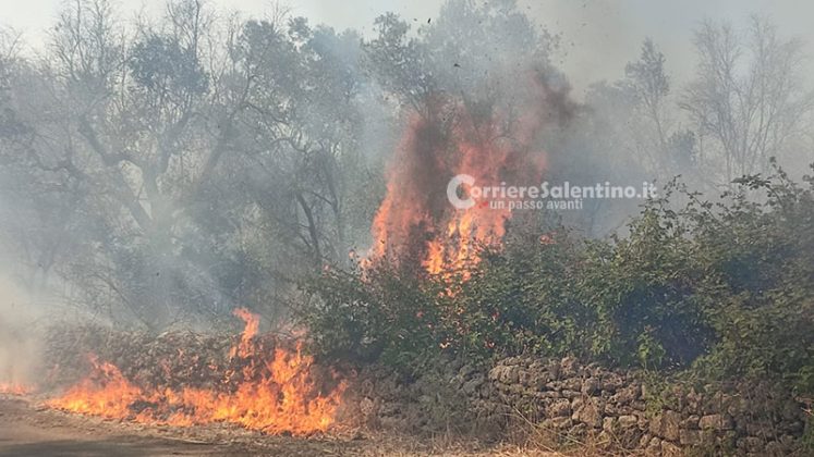 Vasto incendio nel Basso Salento: fiamme minacciano maneggio e abitazioni. Danni al campo sportivo - Corriere Salentino