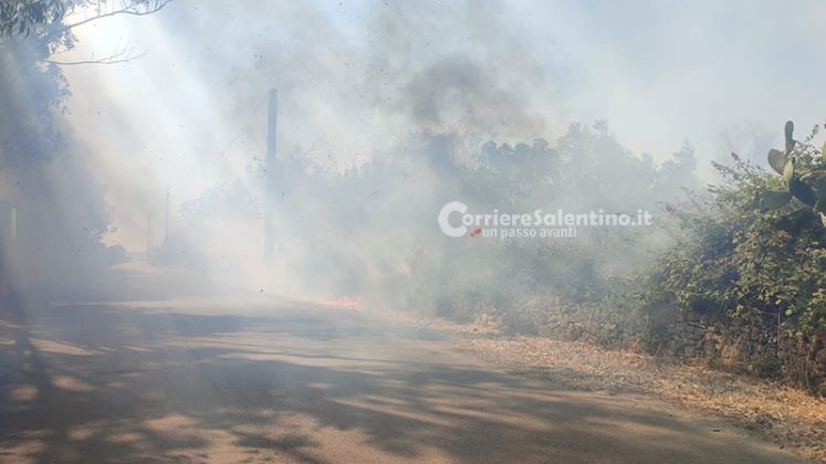 Vasto incendio nel Basso Salento: fiamme minacciano maneggio e abitazioni. Danni al campo sportivo - Corriere Salentino
