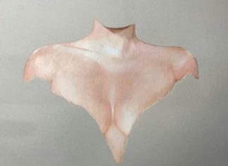 Salento a pArte: intervista a Miriam Scorrano, artista straordinaria