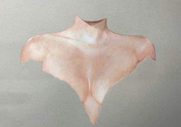 Salento a pArte: intervista a Miriam Scorrano, artista straordinaria - Corriere Salentino