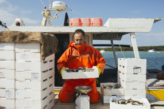 “Nel Segno dello Zerro: da piccolo pesce a grande ricetta”: a Castro oggi l’appuntamento con WWF