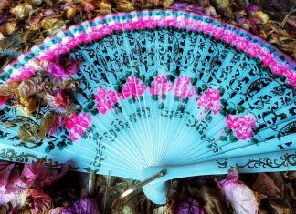 Elisabetta Elirose Zappa: l’arte della fotografia che oltrepassa il tempo