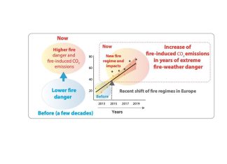 Cambiamento climatico, aumento di incendi nel mediterraneo. Uno studio pubblicato su “Scientific Reports” con il contributo di unisalento