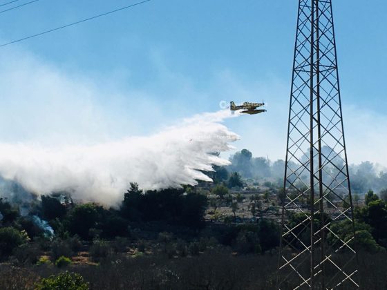 Salento in fiamme, emergenza senza fine. Squadre a lavoro da ore, intervengono i canadair - Corriere Salentino