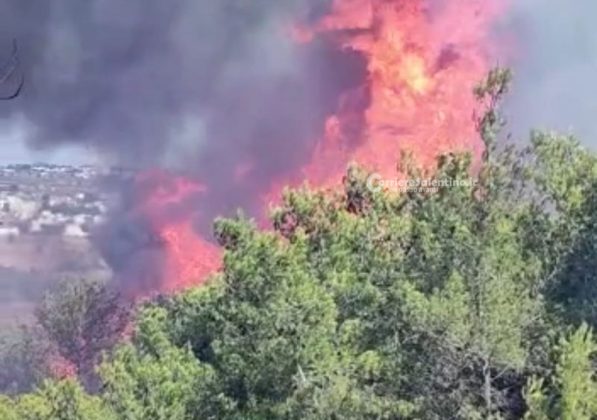 Salento in fiamme, emergenza senza fine. Squadre a lavoro da ore, intervengono i canadair - Corriere Salentino