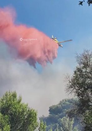 Salento in fiamme, emergenza senza fine. Squadre a lavoro da ore, intervengono i canadair - Corriere Salentino