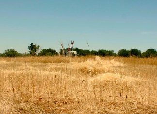 “La Restanza” a Castiglione la prima pugliese del film su chi “resta”