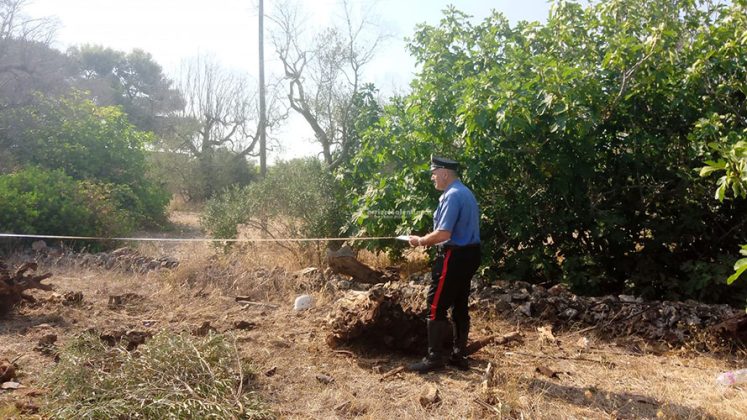 Altra giovane vita spezzata sulle strade. Schianto contro albero, l'auto si ribalta: muore un ventenne - Corriere Salentino