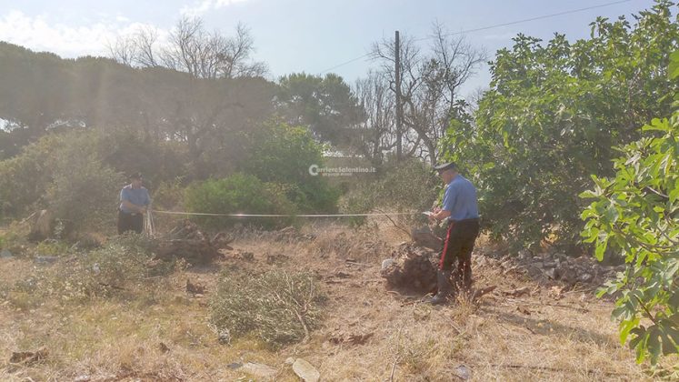 Altra giovane vita spezzata sulle strade. Schianto contro albero, l'auto si ribalta: muore un ventenne - Corriere Salentino
