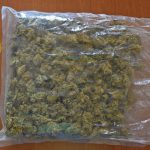 Controlli a tappeto a Gallipoli e blitz nella pineta: scattano arresti e denunce - Corriere Salentino