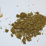 Controlli a tappeto a Gallipoli e blitz nella pineta: scattano arresti e denunce - Corriere Salentino